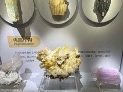 -湖南省地质博物馆