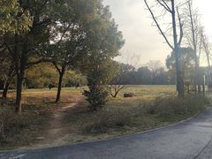 -蜀冈西峰生态公园