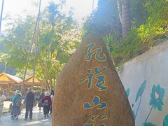 -西双版纳原始森林公园
