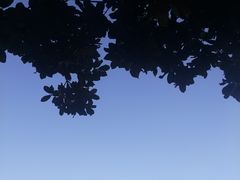 -虞山城墙
