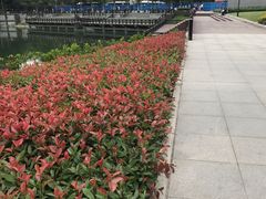 -喷泉公园