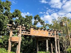 -大屏嶂森林公园