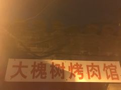 -大槐树烤肉馆