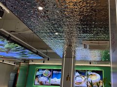 -探窝·竹笙椰子鸡(杨箕店)