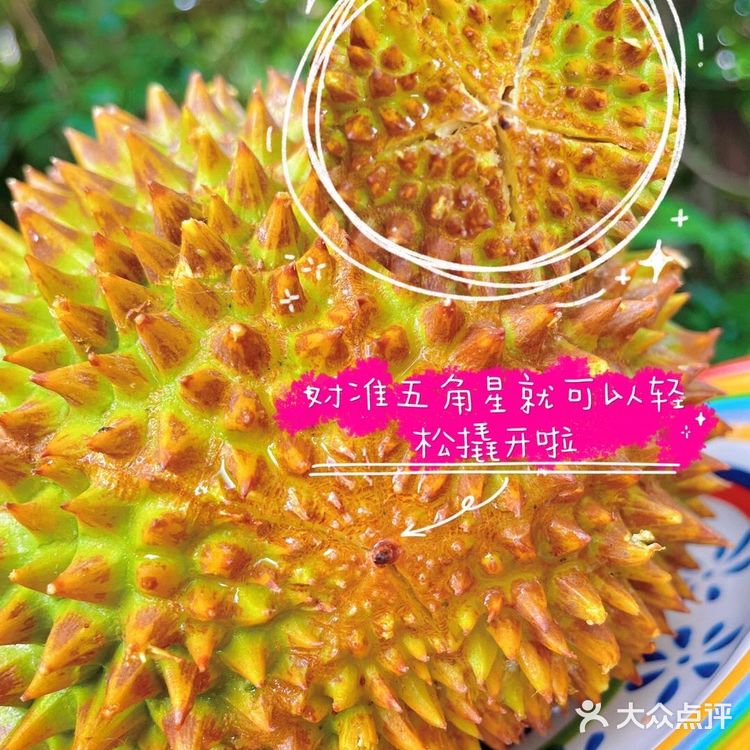 到底大芭猫山王榴莲是什么味道？