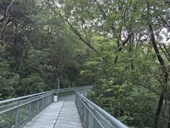 -佛山华盖山公园