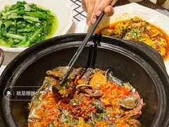 砂锅甲鱼-湘水谣(芙蓉店)