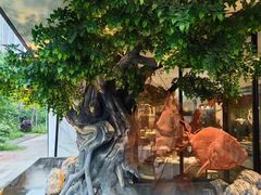 -院里寻菜·精致庭院菜(观沙岭店)