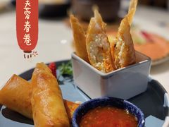 -点都德·毕德寮