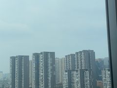 -成都海湾酒店·海湾壹品中餐厅(远大购物中心店)