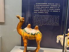 -镇江博物馆