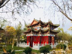 -武清南湖绿博园