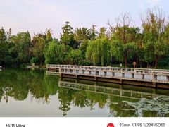 -洋湖国家湿地公园