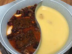 -青瓷火锅料理(西单大悦城店)