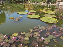 -中国科学院西双版纳热带植物园