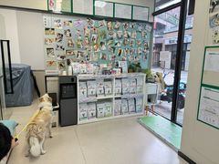 -爱妮康宠物医院·干细胞免疫细胞·肿瘤·心脏(张江店)