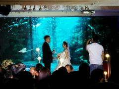 -园林格兰云天大酒店-太极名厨中餐厅