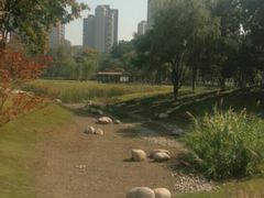-后襄河公园