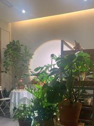 -芳香乐府SPA·五行芳疗