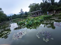 -国家植物园南园