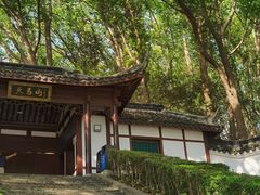 -上海佘山国家森林公园天马山园