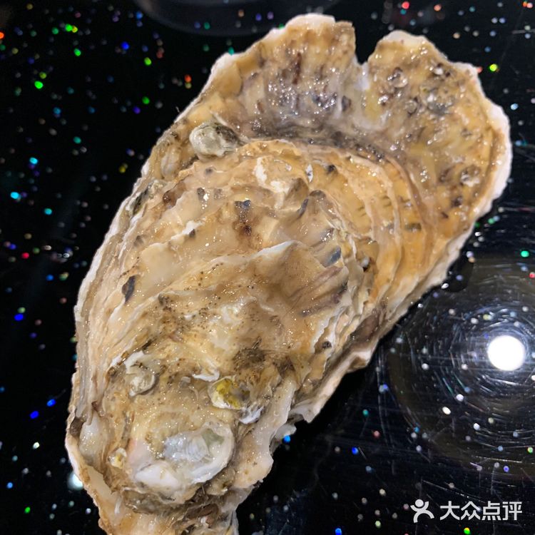 北京路火爆海鲜大餐!生蚝plus随便吃!