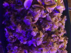 -八道本地特色菜馆(大鹏古城店)