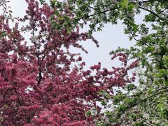 -元大都城垣遗址公园