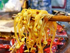 溶洞豆芽-独雅老火锅(原宏声巷店)