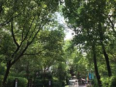 -西溪国家湿地公园