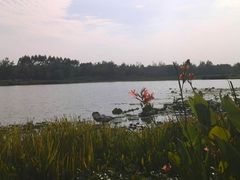 -三圣花乡旅游区