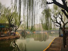 -团结湖公园