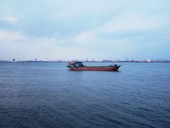 -大湾区中央湿地公园