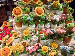 -番茄口袋(上海普陀区环球港店)