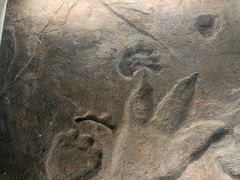 -湖南省地质博物馆