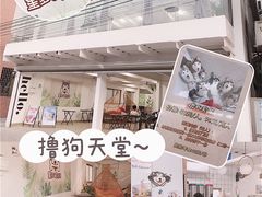 -星多哈·狗咖·拼豆·咖啡