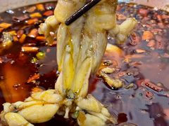 -耗儿鱼蛙蛙叫·老成都火锅(蛇口海昌街店)