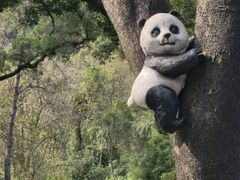 -柳州市动物园