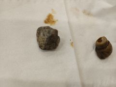 -江城燕子大排档(江汉路步行街店)