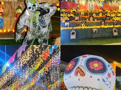 -巨鹏飞梦幻海岸