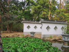 -深圳国际园林花卉博览园