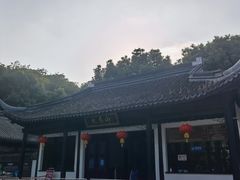 -上海佘山国家森林公园天马山园