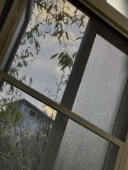 -爱瑞馨母婴护理中心·月嫂育儿嫂