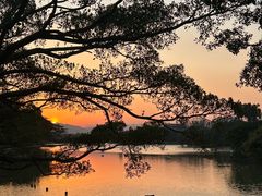 -江心屿景区