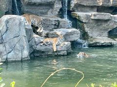 -宁波野生动物园
