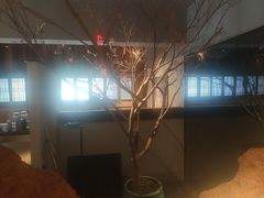 -黄山老妈·土菜(碧桂园店)