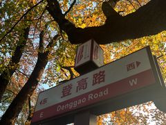 -岳麓山风景名胜区