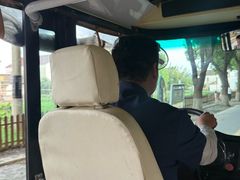 -七的湖·晚芳亭·阳澄湖农家菜·大闸蟹(莲花岛店)