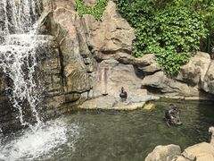 -燕塞湖鸟语林景区