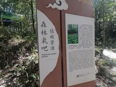 -洛阳白云山景区